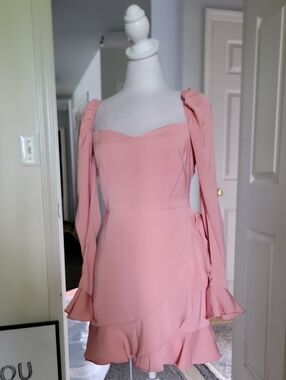 Super Down Size Small Elegant Pink Long-Sleeve Ruffle Hem Dress